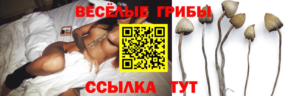 Псилоцибиновые грибы прущие грибы Златоуст